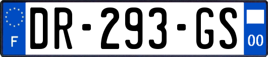 DR-293-GS
