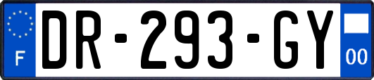 DR-293-GY