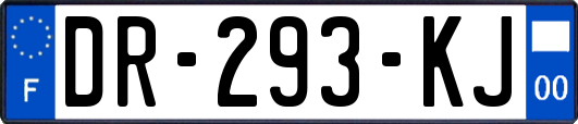 DR-293-KJ