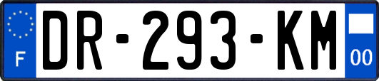 DR-293-KM
