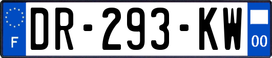 DR-293-KW