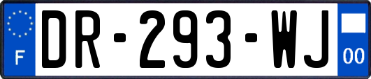 DR-293-WJ