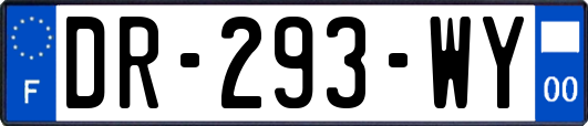 DR-293-WY