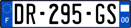 DR-295-GS