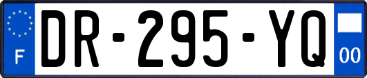 DR-295-YQ