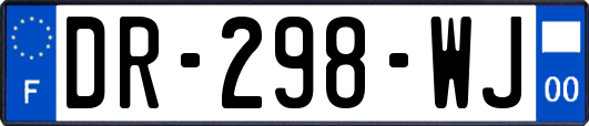 DR-298-WJ