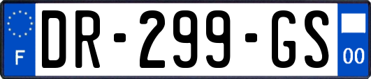 DR-299-GS