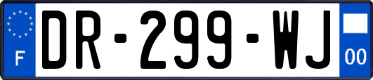 DR-299-WJ