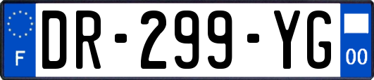 DR-299-YG