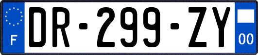 DR-299-ZY