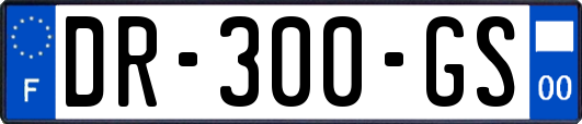DR-300-GS