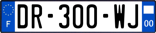 DR-300-WJ