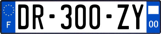 DR-300-ZY