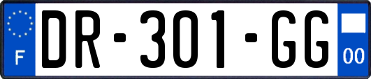 DR-301-GG