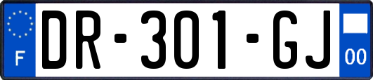 DR-301-GJ