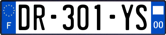 DR-301-YS