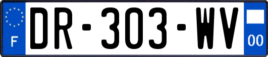 DR-303-WV