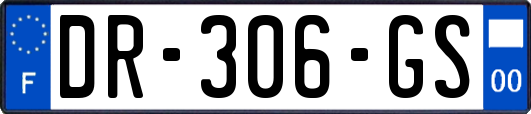 DR-306-GS
