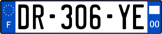 DR-306-YE