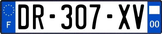 DR-307-XV