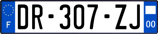 DR-307-ZJ