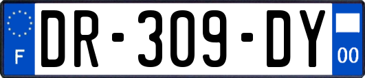 DR-309-DY