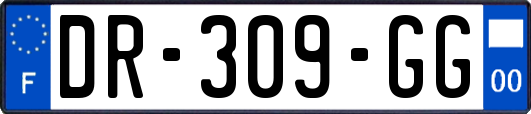 DR-309-GG