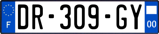 DR-309-GY
