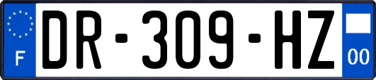 DR-309-HZ