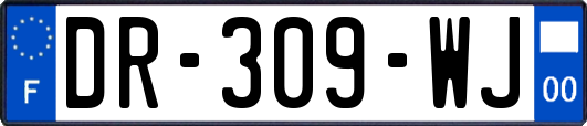 DR-309-WJ