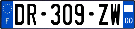 DR-309-ZW