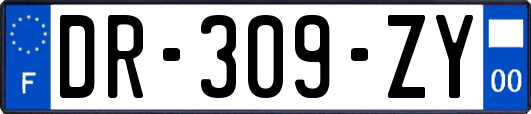 DR-309-ZY