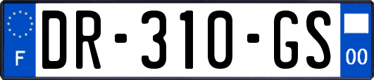DR-310-GS