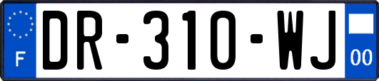 DR-310-WJ