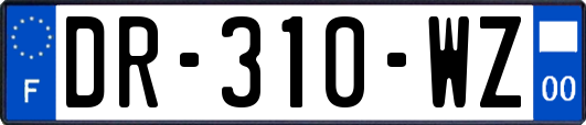 DR-310-WZ