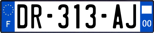 DR-313-AJ