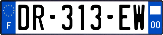 DR-313-EW
