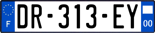 DR-313-EY
