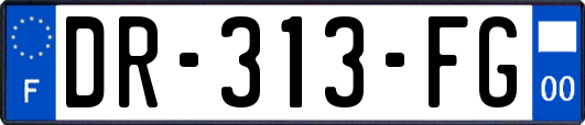 DR-313-FG