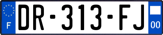 DR-313-FJ