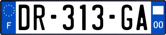 DR-313-GA