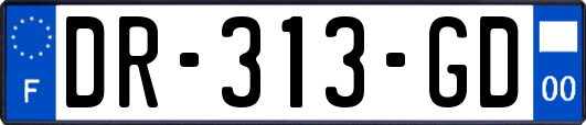 DR-313-GD