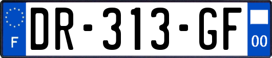 DR-313-GF