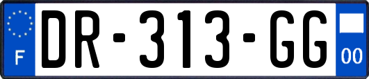 DR-313-GG