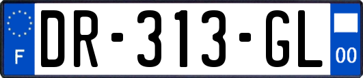 DR-313-GL