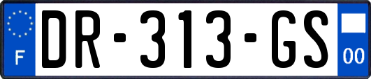 DR-313-GS