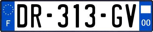 DR-313-GV