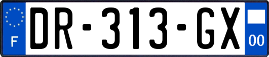 DR-313-GX