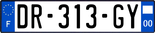 DR-313-GY
