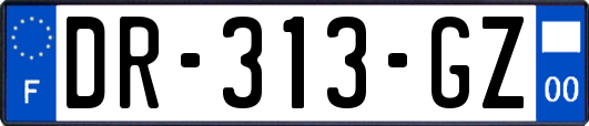 DR-313-GZ
